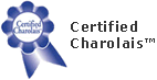 certified charolais